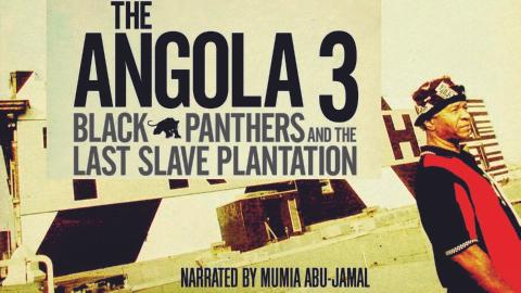 Black Panthers And The Last Slave Plantation (2008)