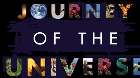 Journey of the Universe