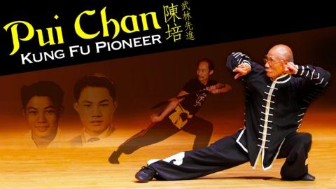 Pui Chan: Kung Fu Pioneer (2012)