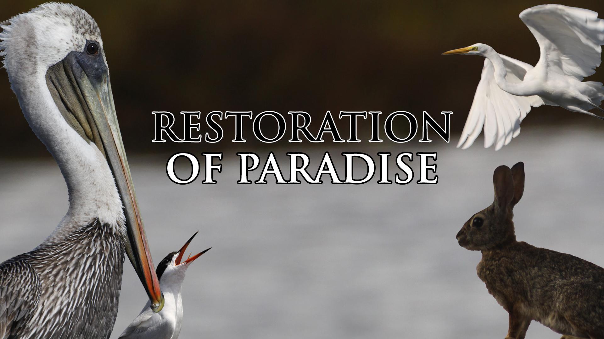 Restoration of Paradise (2014)