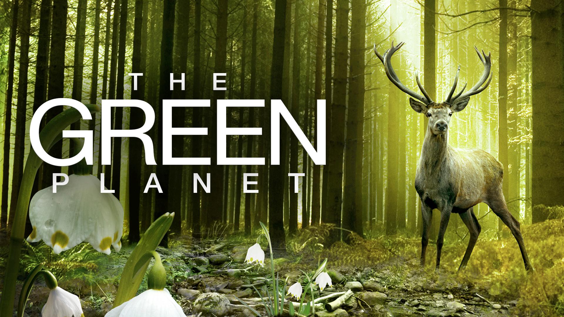 The Green Planet (2012)